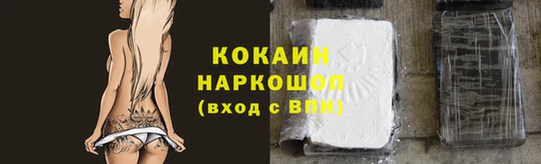 стаф Арсеньев