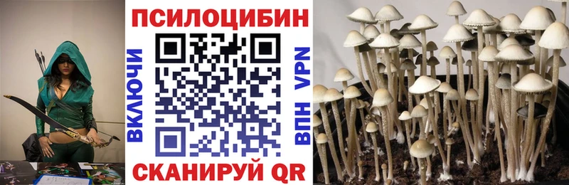 Галлюциногенные грибы Psilocybine cubensis  Аткарск 